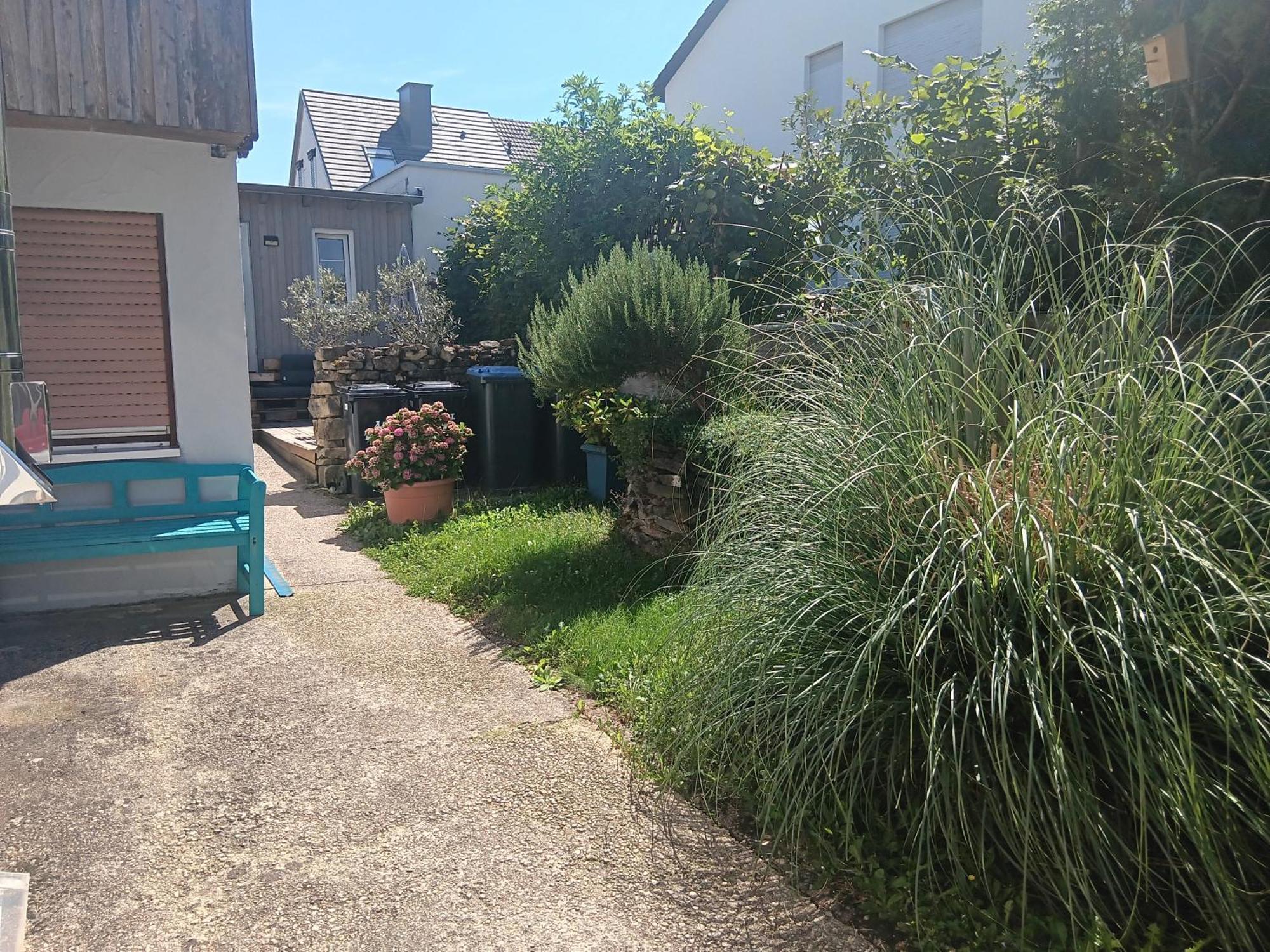 Ferienwohnung Mattheiser Weiher Trèves Extérieur photo