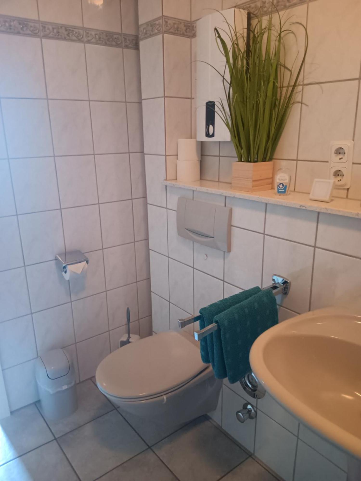 Ferienwohnung Mattheiser Weiher Trèves Extérieur photo